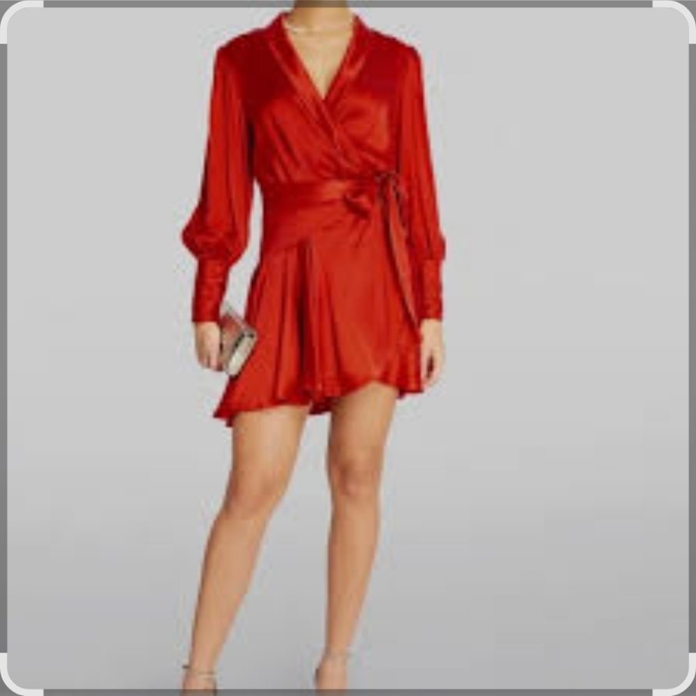Zimmermann Red Mini Dress